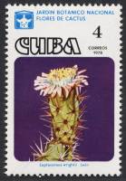 (1978-027) Сцепка (2 м) Куба "Лептоцереус"    Кактусы III Θ