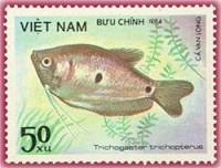 (1984-065) Марка Вьетнам "Гурами золотой"    Рыбы III Θ
