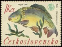 (1966-021) Марка Чехословакия "Карп "    Чемпионат мира по рыбалке II Θ