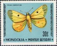 (1977-062) Марка Монголия "Желтушка золотистая"    Насекомые. Бабочки III O