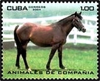 (№4630) Марка Куба 2004 год &quot;Лошади equus ферусом caballus&quot;, Негашеная