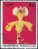 (1971-041) Марка Куба "Башмачок"    Орхидеи III Θ