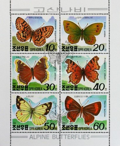 (1991-021a) Лист (6 м 2х3) Северная Корея &quot;Бабочки&quot;   Бабочки гор мира III Θ
