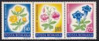 (№1973-3103) Лист марок Румыния 1973 год "Цветы из Румынии", Гашеный
