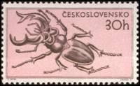 (1955-037) Марка Чехословакия "Жук-олень"    Фауна III Θ