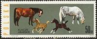 (1963-081) Марка Польша "Арабские кобылы с жеребятами"   Лошади III O