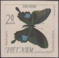 (1965-066) Марка Вьетнам "Парижский павлин"   Бабочки II Θ