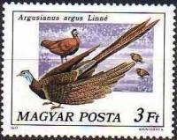 (1977-018) Марка Венгрия "Фазан аргус"    Павлины и фазаны II Θ