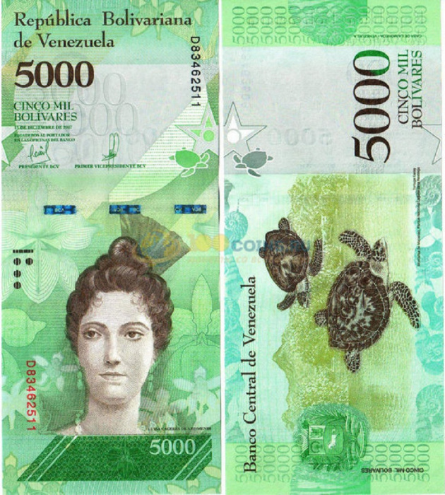 (2017, 13 декабря) Банкнота Венесуэла 2017 год 5 000 боливаров &quot;Луиза Арисменди&quot;   UNC