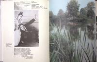 Книга Александр Блок 1986 В. Енишерлов Москва Твёрд обл + суперобл 206 с. С цв илл