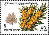 1980-092  Марка СССР Крушиновидная облепиха    Охраняемые породы деревьев и кустарников III Θ