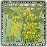 (№1959-022) Марка из набора Вьетнам 1959 год "Плоды" ( III O )