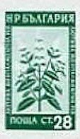 (1953-048) Марка из блока Болгария "Мята"   Лекарственные растения Болгарии (2) III Θ