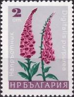 (1966-096) Марка Болгария "Наперстянка пурпурная"   Садовые цветы I Θ