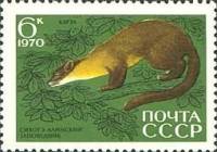 1970-072 Марка СССР Куница харза  Сихотэ-Алинский заповедник, 35 лет III Θ