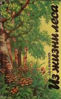 Книга "Из жизни леса" 1987 И. Балбышев Лениздат Мягкая обл. 175 с. С ч/б илл