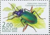 2003-052 Марка Россия Красотел пахучий  Жуки, занесённые в Красную книгу I O