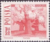 (1966-060) Марка Польша "Старые дубы" , III O