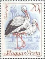 (1968-020) Марка Венгрия "Белый аист"    Конгресс Международного орнитологического совета по охране 
