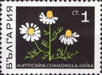 (1969-001) Марка Болгария "Ромашка лекарственная"   Лекарственные растения III Θ