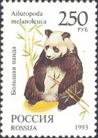 1993-071 Марка Россия Большая панда  Фауна III O