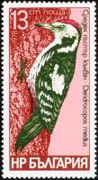 (1978-061) Марка Болгария "Средний пёстрый дятел"   Дятлы III O