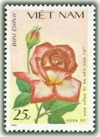 (1988-007) Марка Вьетнам "Красно-белая роза"    Розы III Θ