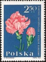 (1964-092) Марка Польша "Гвоздика"   Садовые цветы I Θ