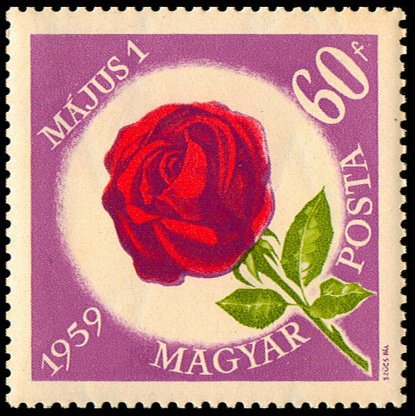 (1959-012) Марка Венгрия "Роза (Фиолетовая)"    День 1 Мая II &Theta;