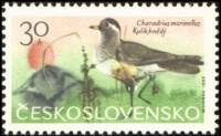 (1965-067) Марка Чехословакия "Евразийский Доттерель"    Горные птицы II Θ