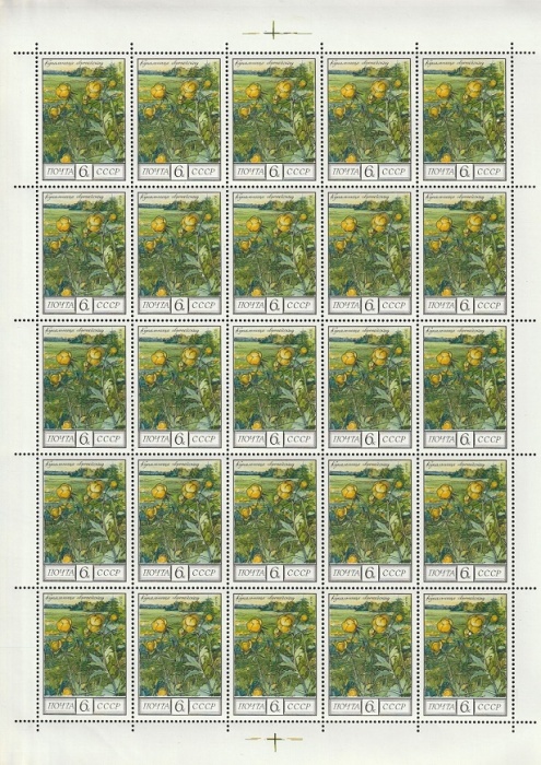 1975-106  Лист (25 м 5х5) СССР Купальница европейская  Флора III O