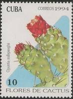 (№3765) Марка Куба 1994 год "Millspaughii опунции", Гашеная