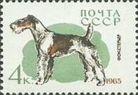 1965-012 Марка СССР Фокстерьер   Служебные и охотничьи собаки II O