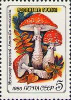1986-036 Марка СССР Красный мухомор  Ядовитые грибы III O