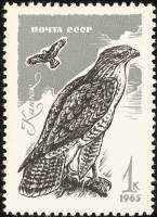 1965-133 Марка СССР Канюк   Хищные птицы II O