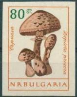(1961-084) Марка Болгария "Гриб-зонтик пёстрый"   Грибы (2) III O