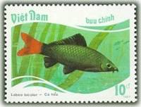 (1988-012a) Марка Вьетнам "Двухцветный лабео"  Без перфорации  Тропические рыбы III Θ