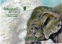 (№2010-50) Блок марок Гернси 2010 год "Азиатский Слон elephas Максимус", Гашеный