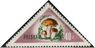 (1959-010) Марка Польша &quot;Белый гриб&quot;   Грибы II Θ