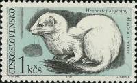 (1967-062) Марка Чехословакия "Горностай"    Животные из заповедников Словакии III O