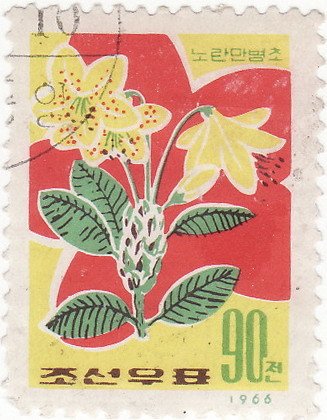 (1966-011) Марка Северная Корея &quot;Рододендрон золотистый&quot;   Полевые цветы III Θ