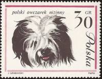 (1963-006) Марка Польша "Польская низинная овчарка"   Собаки I Θ
