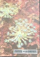 Журнал Юный натуралист 1977 № 12 Москва Мягкая обл. 48 с. С цв илл