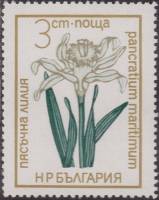 (1972-065) Марка Болгария "Панкраций морской"   Цветы под охраной III Θ