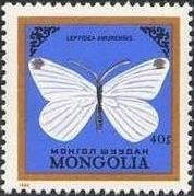 (1986-033) Марка Монголия "Беляночка амурская"    Бабочки III Θ