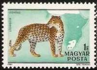 (1981-005) Марка Венгрия "Леопард"    100 лет со дня рождения Каймана Киттенбергера. Фауна Африки II