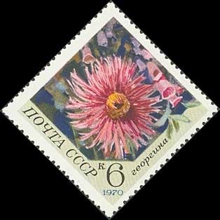 1970-103 Марка СССР Георгины  Цветы II Θ