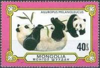 (1977-074) Марка Монголия "Играющие панды"    Панды, или бамбуковые медведи III O