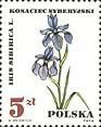 (1967-035) Марка Польша "Ирис сибирский"   Лекарственные растения II Θ