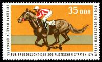 (1974-068) Марка Германия (ГДР) "Жокей"    Конный спорт II Θ